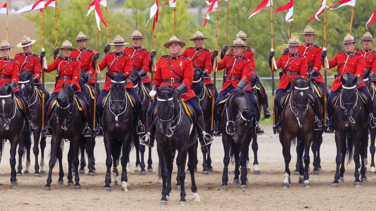 The RCMP Is Selling Horses & You Can Buy One Of Your Own