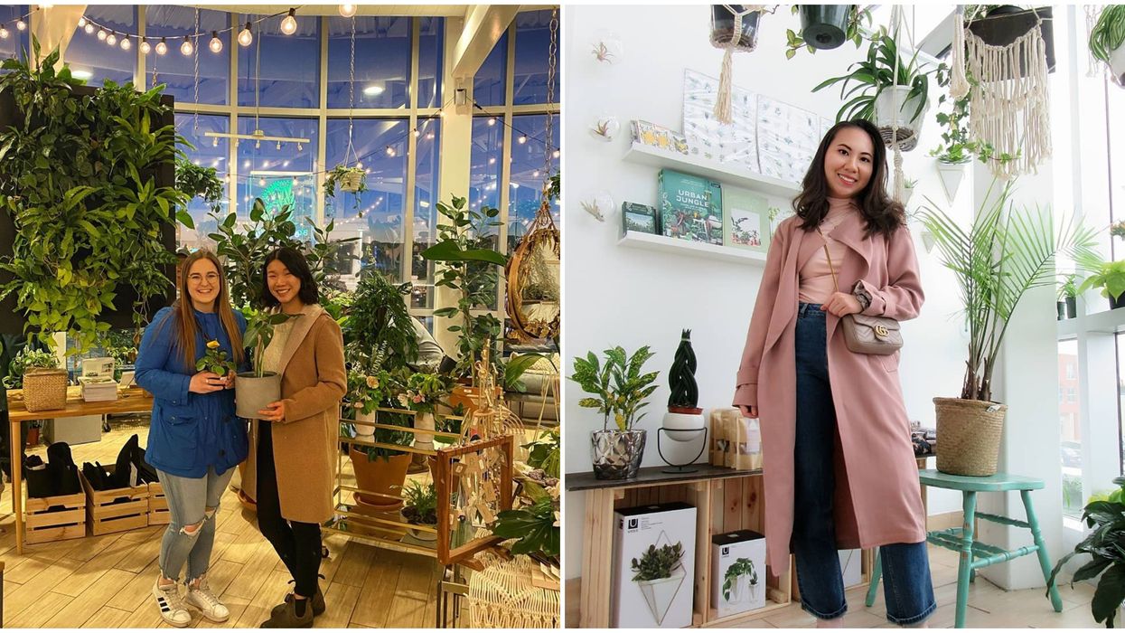 Edmonton Has A Hidden 'Plant Loft' & You'll Want To Your Entire Paycheque On Green Babies