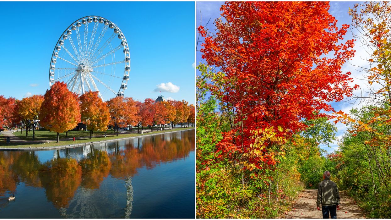Voici comment profiter de l'automne au Québec même si tu ne peux pas voir tes amis