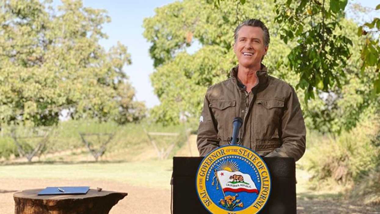 Here Are The New Rules For Making Sweet Sweet Music In Los Angeles With Your Pals