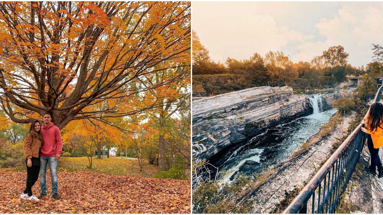 7 Things To Do In Ottawa This Weekend If You Want To Be Cute Without The Crowds