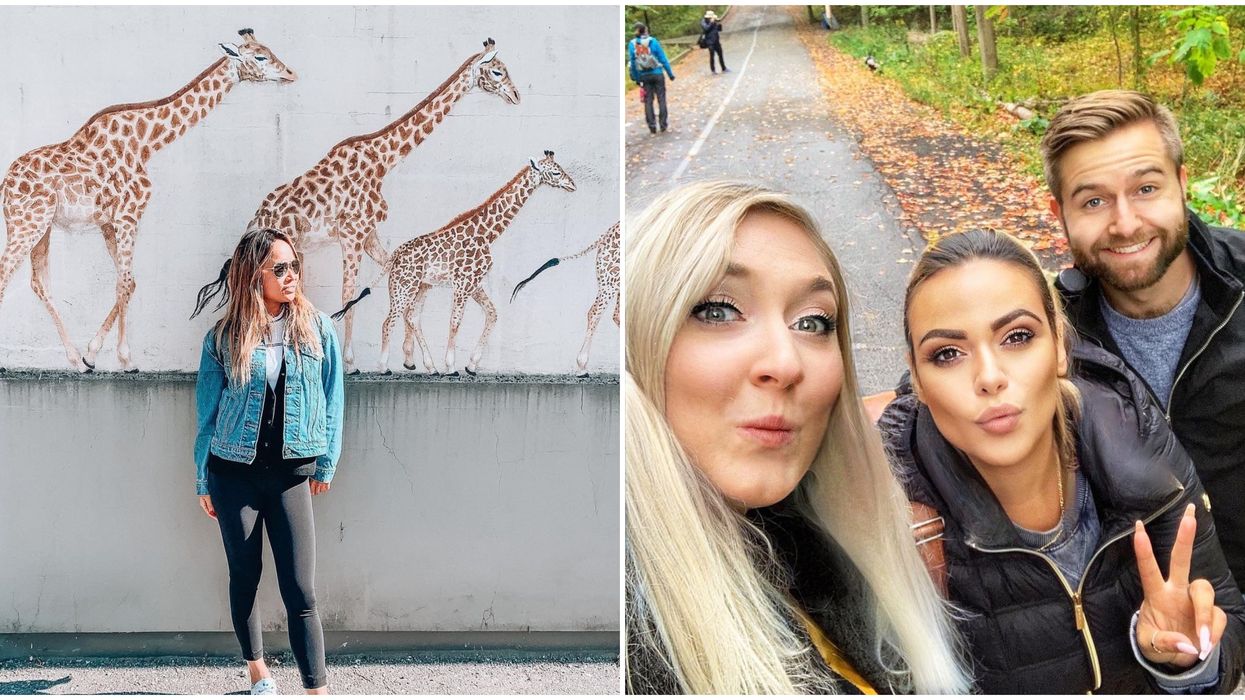 7 Things You Can Do This Weekend In Toronto That Don't Break Any Lockdown Rules