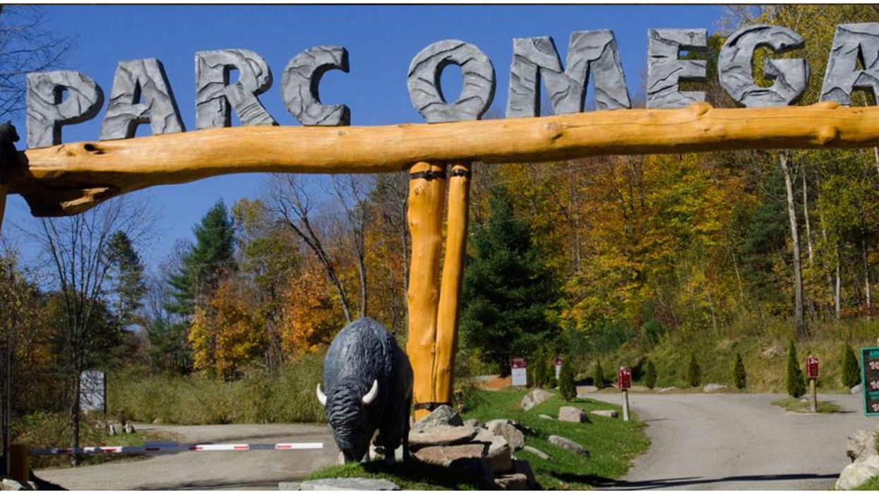 Le Parc Oméga veut éviter une fermeture obligatoire et lance une pétition