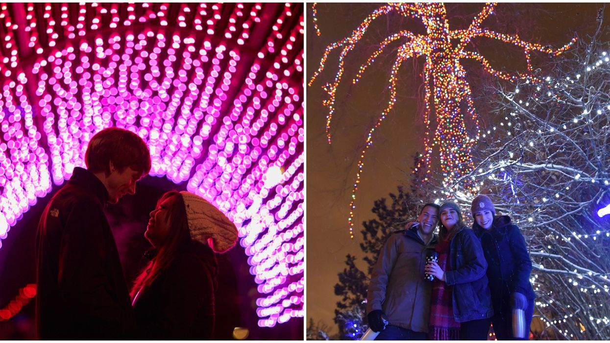 Calgary ZOOLIGHTS Is Finally Back With 2-Billion Lights & A Boozy Adult-Only Date Night
