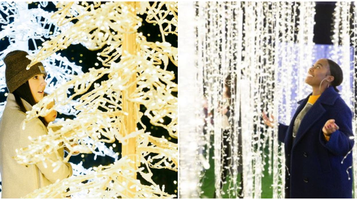 Calgary’s Christmas Market Surrounded By 1-Million Twinkling Lights Opens Next Month