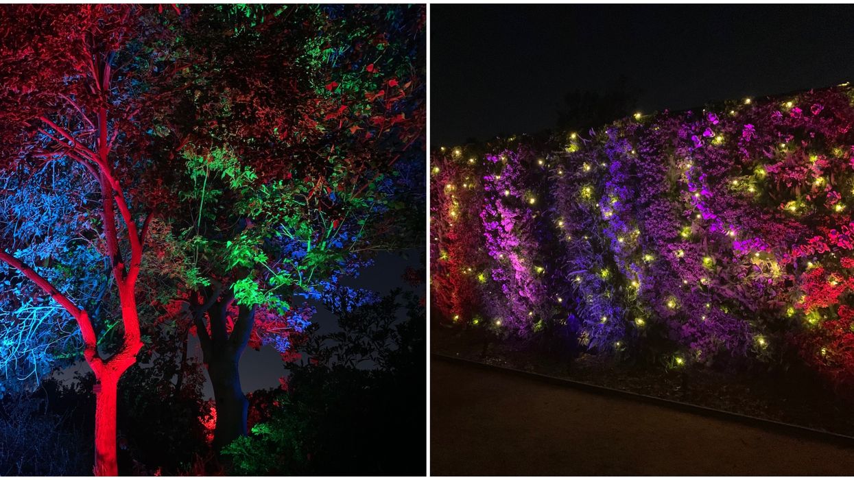 You Can Walk Through Plants Wearing An Ocean Disguise At This Botanic Garden This Winter