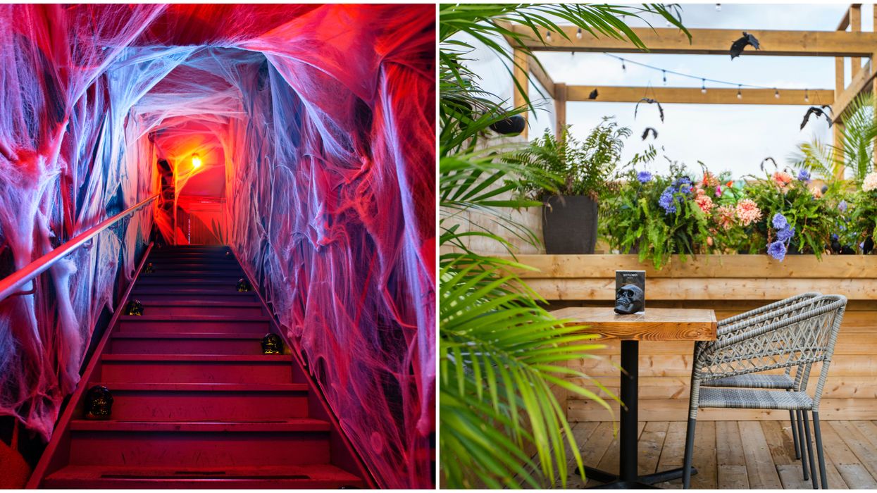 You Can Sip Spooky Cocktails On Toronto's Haunted Rooftop Patio This Month