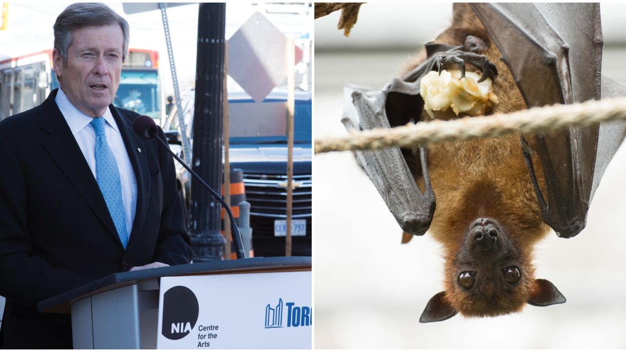 Mayor Tory Says Food Delivery Apps "Suck The Blood" Out Of Local Restaurants