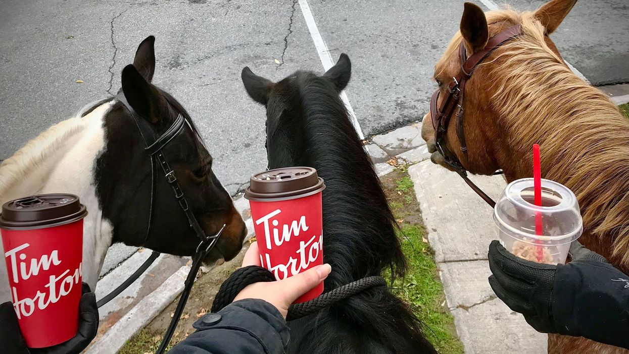3 Women Took Their Horses To Timmies For One Last Ride & There Were So Many Feels (VIDEO)
