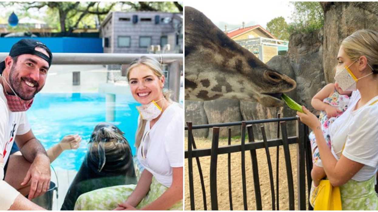 Kate Upton And Justin Verlander Just Had An Epic Experience At The Houston Zoo (PHOTOS)