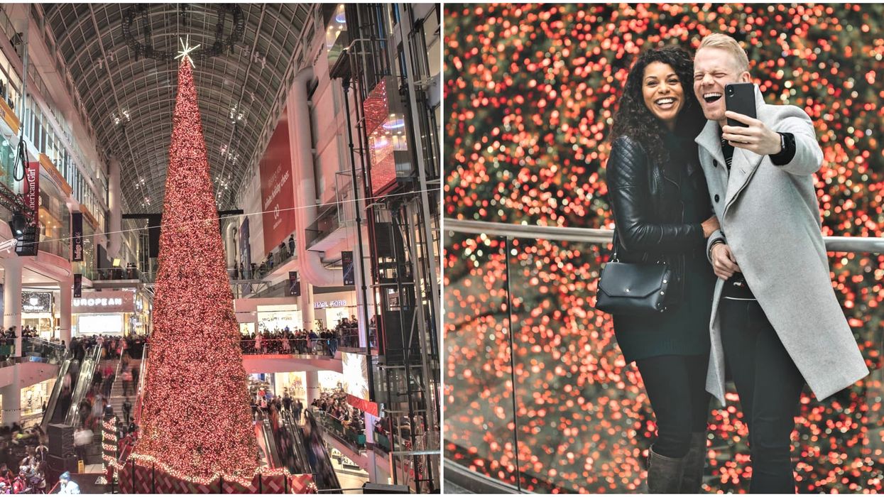 Toronto's Massive Twinkling Tree Is Coming Back This Year But Not Like We're Used To