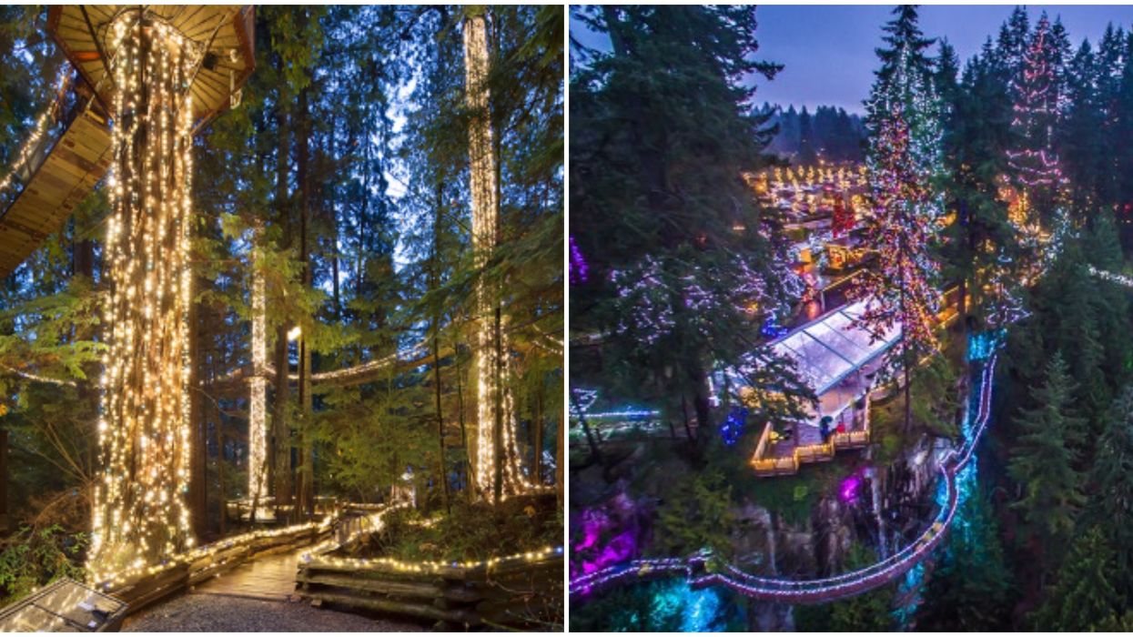 The World's Largest Christmas Trees Are In BC & They'll Be Twinkling From Top To Bottom