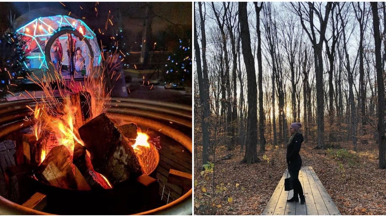 9 activités gratuites et festives à faire à Montréal durant le mois de novembre