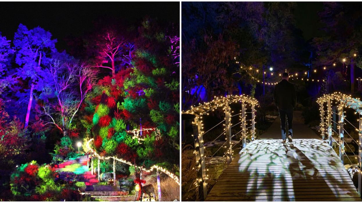 You Can Explore A Starlit Winter Garden At Ontario's New Holiday Trail