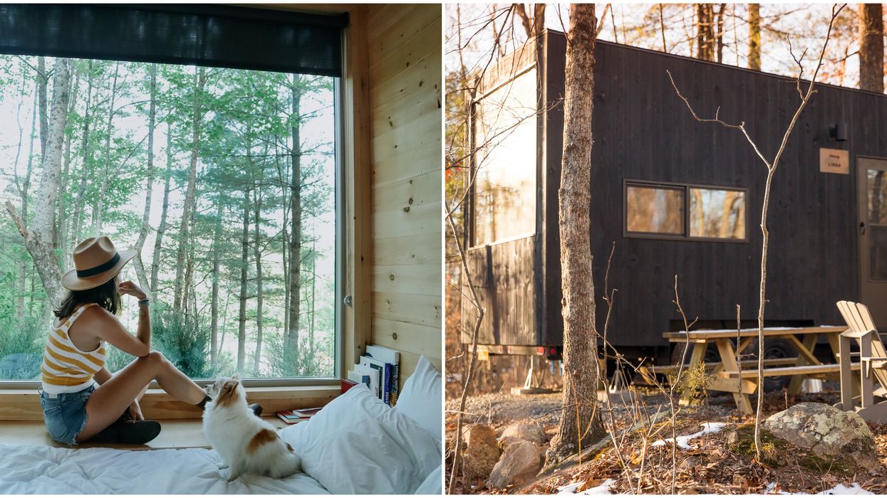 You Can Truly Unplug From Society At These Cabins Hidden Throughout Texas