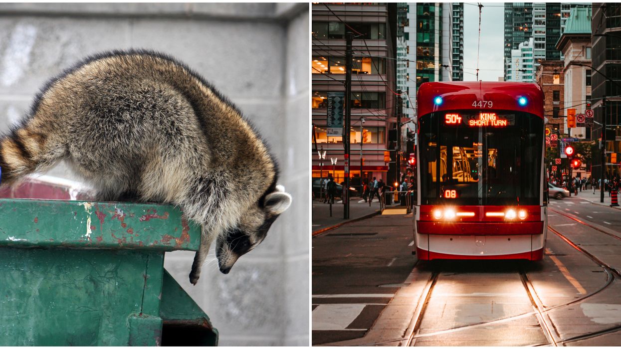 11 Things Americans Need To Know Before They Escape To Toronto