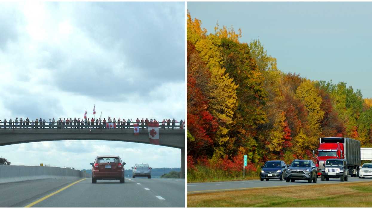 2 Million Trees Are Being Planted As A 'Living Tribute' To Honour Canada's Veterans