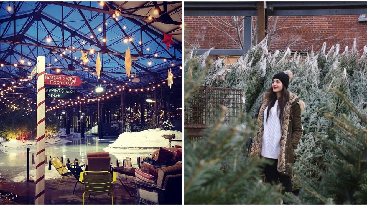 You Can Glide Past Snow-Capped Trees At This Toronto Skating Trail Next Month