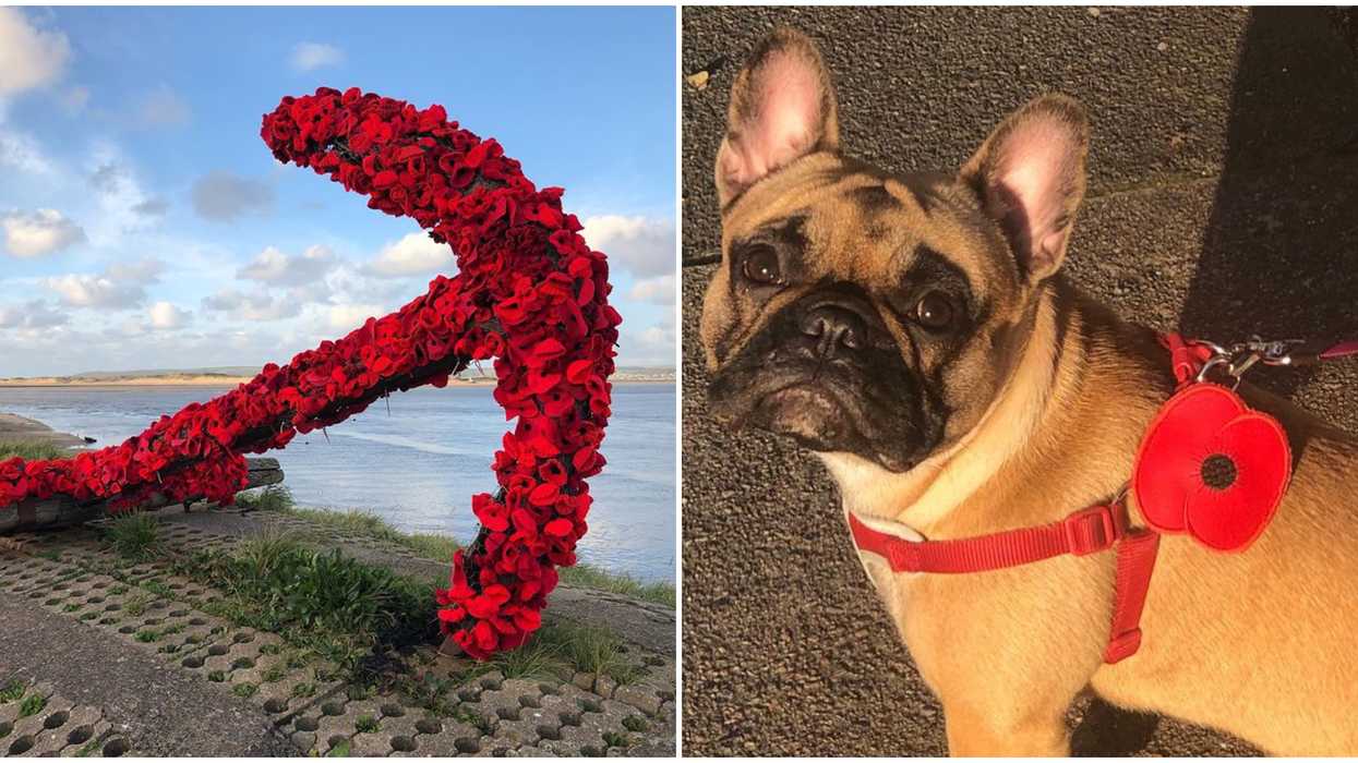 7 Stunning Poppy Tributes From Around The World That Are Super Creative (PHOTOS)