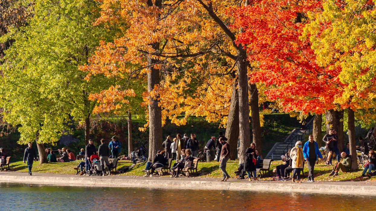 Ce que tu dois savoir sur les rassemblements extérieurs publics en zone rouge au Québec