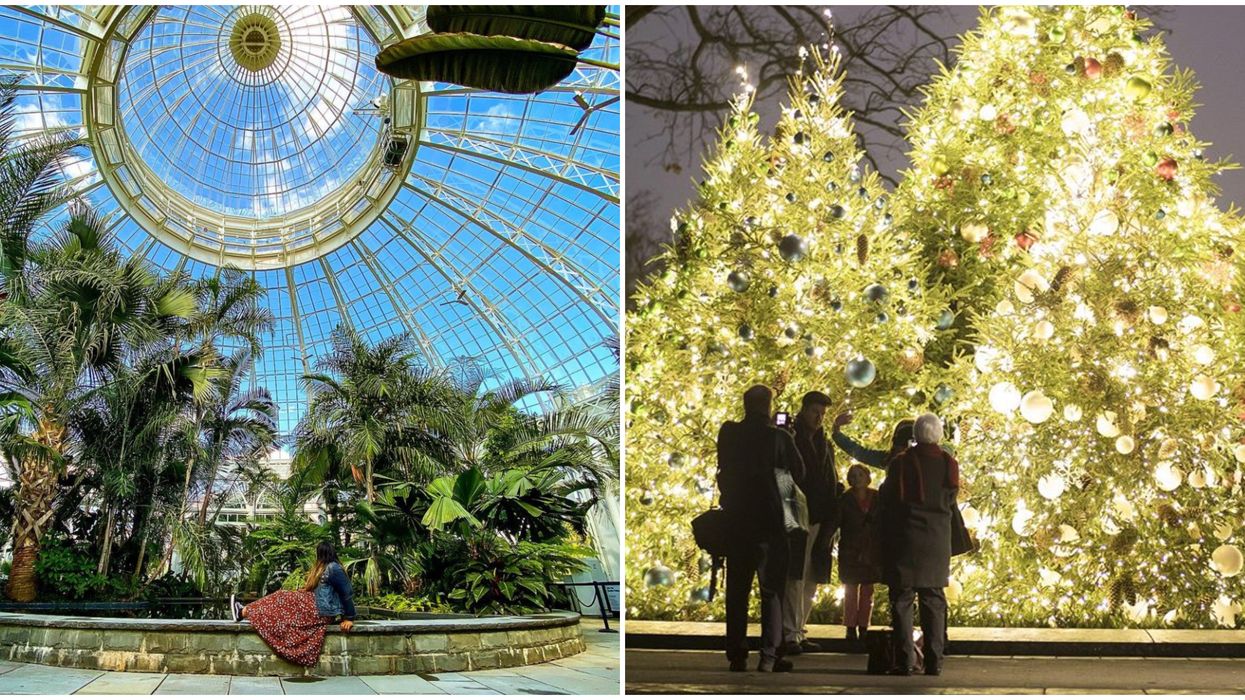 You Can Walk Through Thousands Of Twinkling Lights At NYC's Botanical Garden This Month