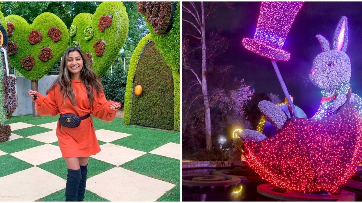 This New Whimsical Light Show In Atlanta Will Transport You To Alice’s Wonderland