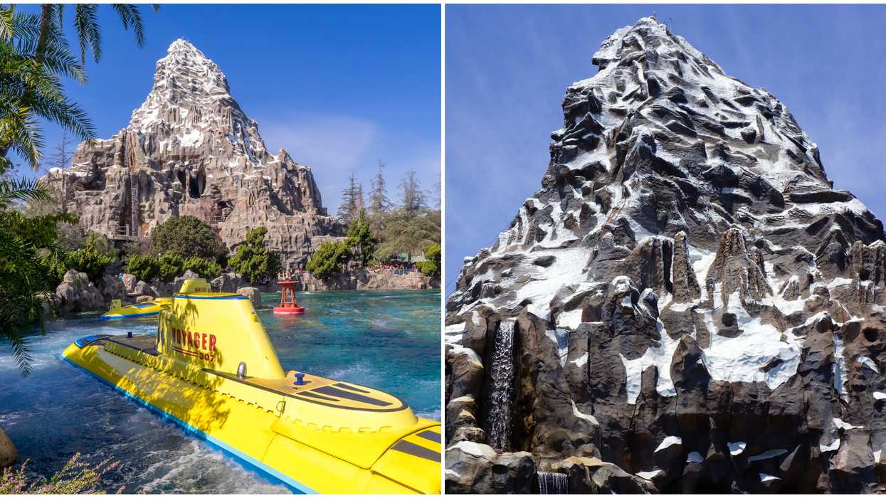 A Man Built A Giant Working Replica Of A Disneyland Rollercoaster In His Backyard (VIDEO)