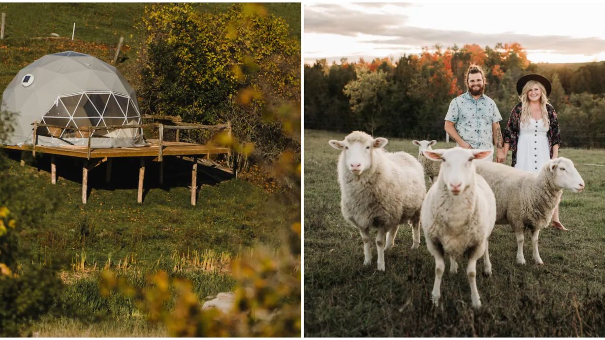You Can Sleep In A Cozy Dome Near Toronto Surrounded By Alpacas & Sheep
