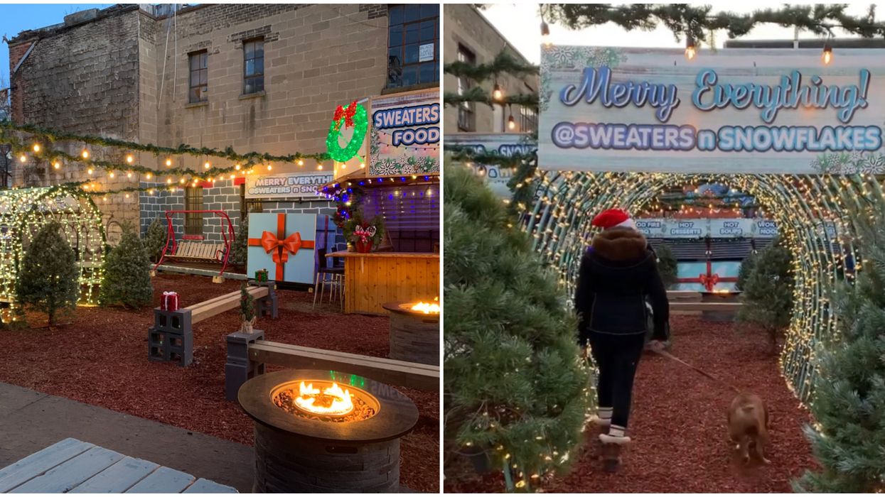A Magical Holiday Forest Filled With Light Tunnels & Festive Food Is Opening In Toronto