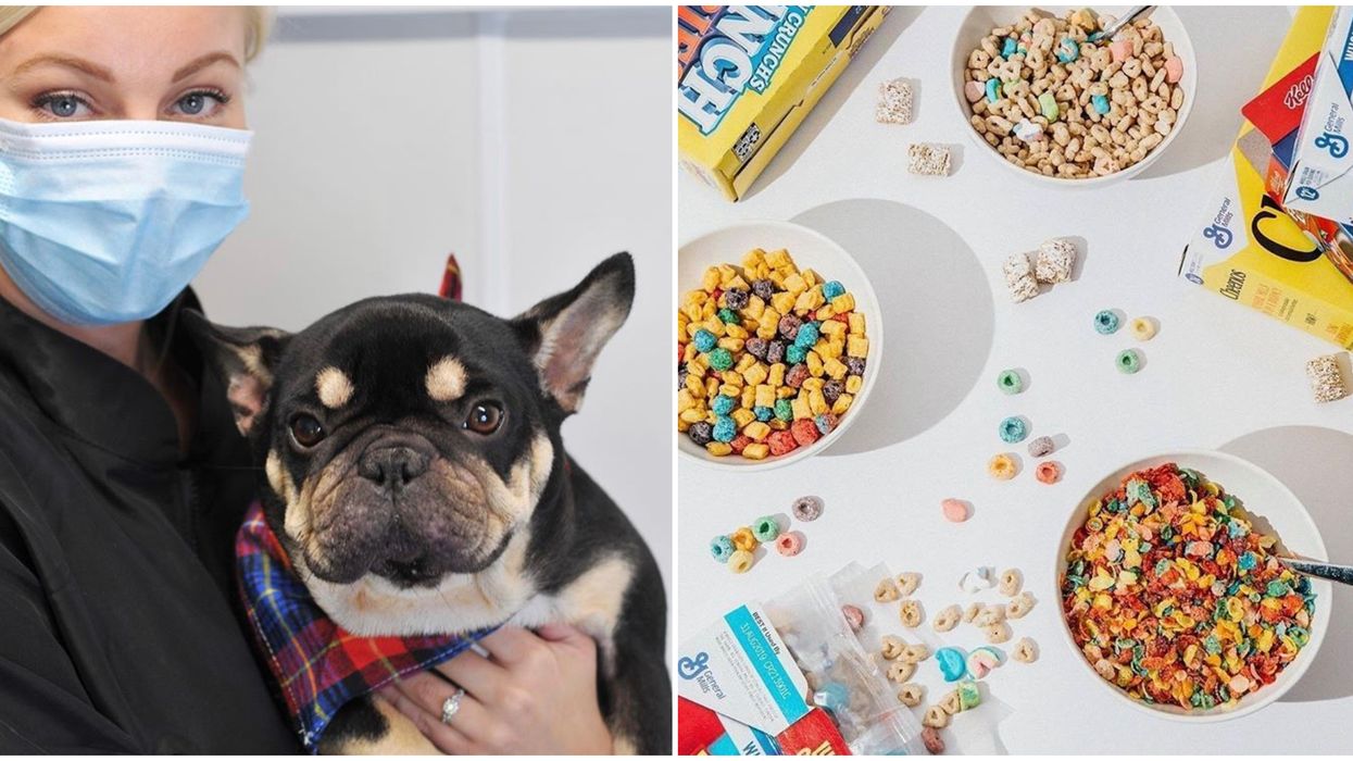 You Never Have To Leave The House Again With These 9 Toronto Services