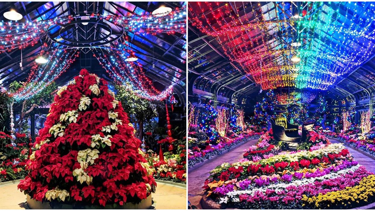 This Twinkling Christmas Garden Near Toronto Looks Like The Sugar Plum Fairy's Backyard