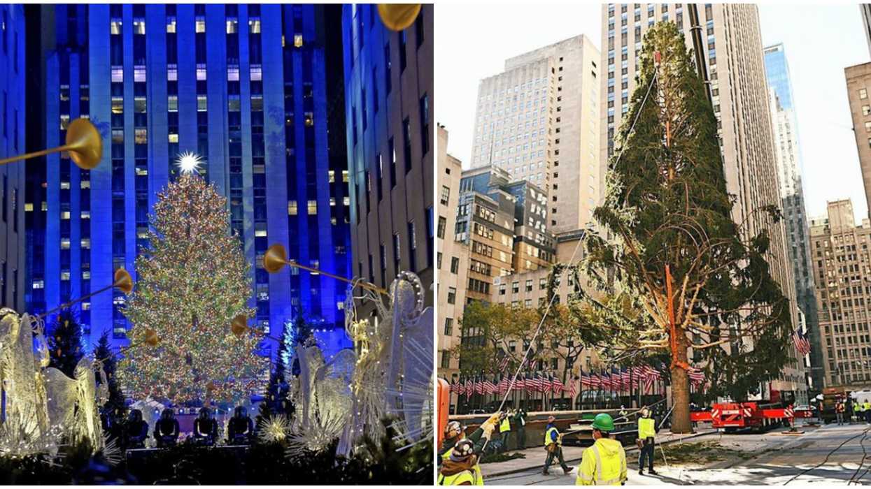Don't Worry, The Rockefeller Center Christmas Tree Is Actually Going To Look Amazing