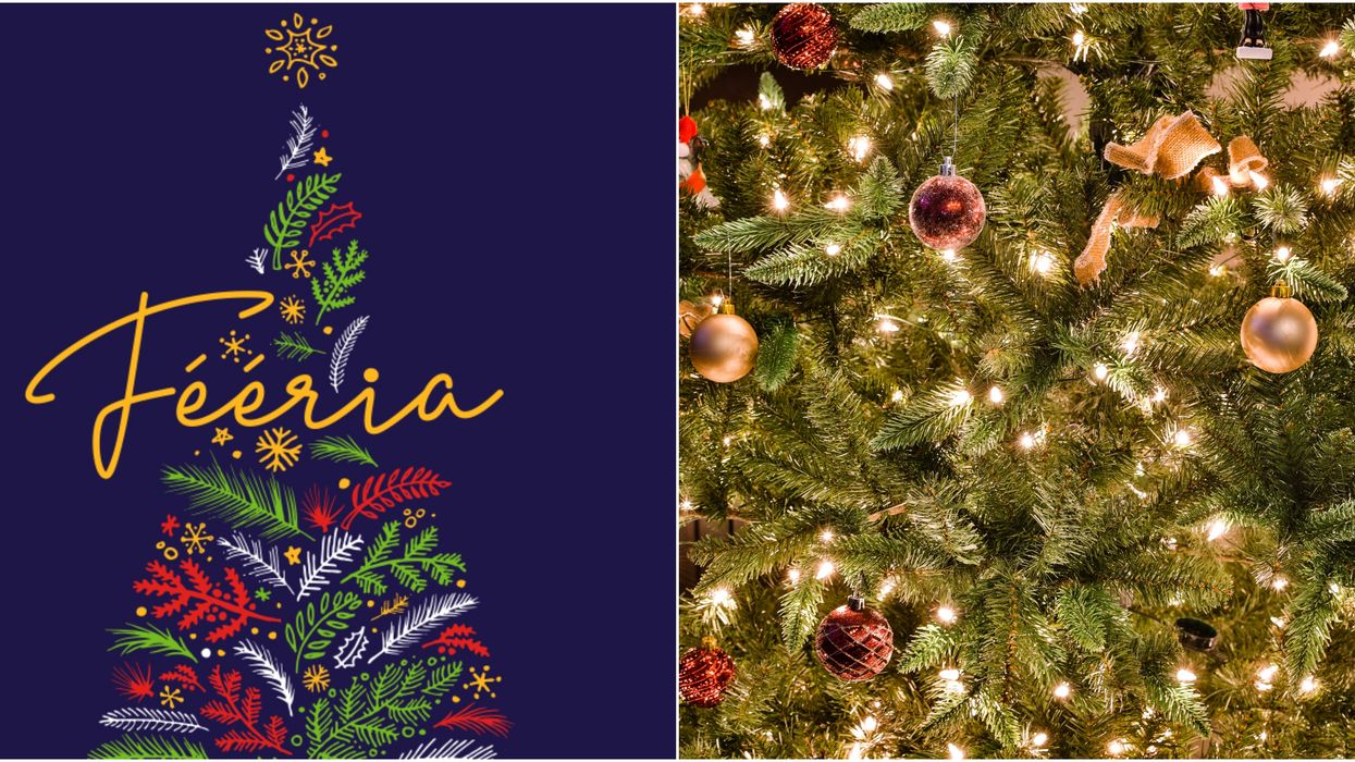 Ce sapin féérique de 68 000 lumières sur la Rive-Sud te mettra dans l’esprit des Fêtes