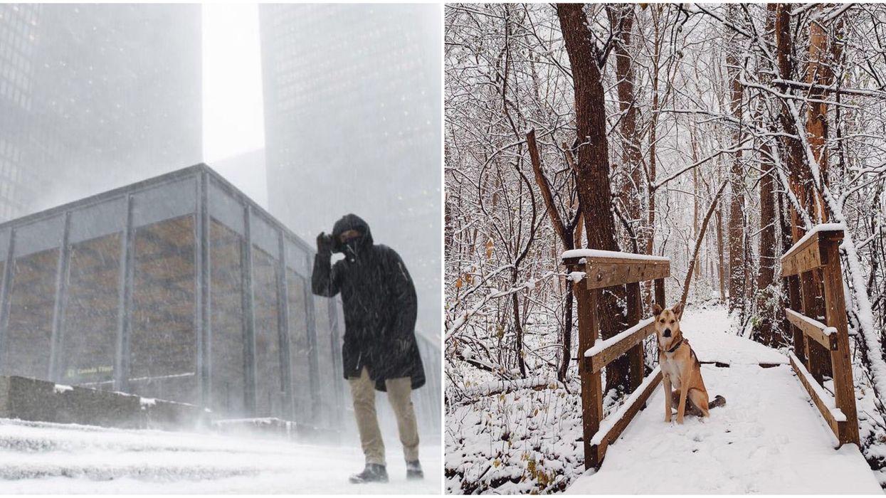 Toronto Is Having Its First Major Snow Day & There's Lots More To Come