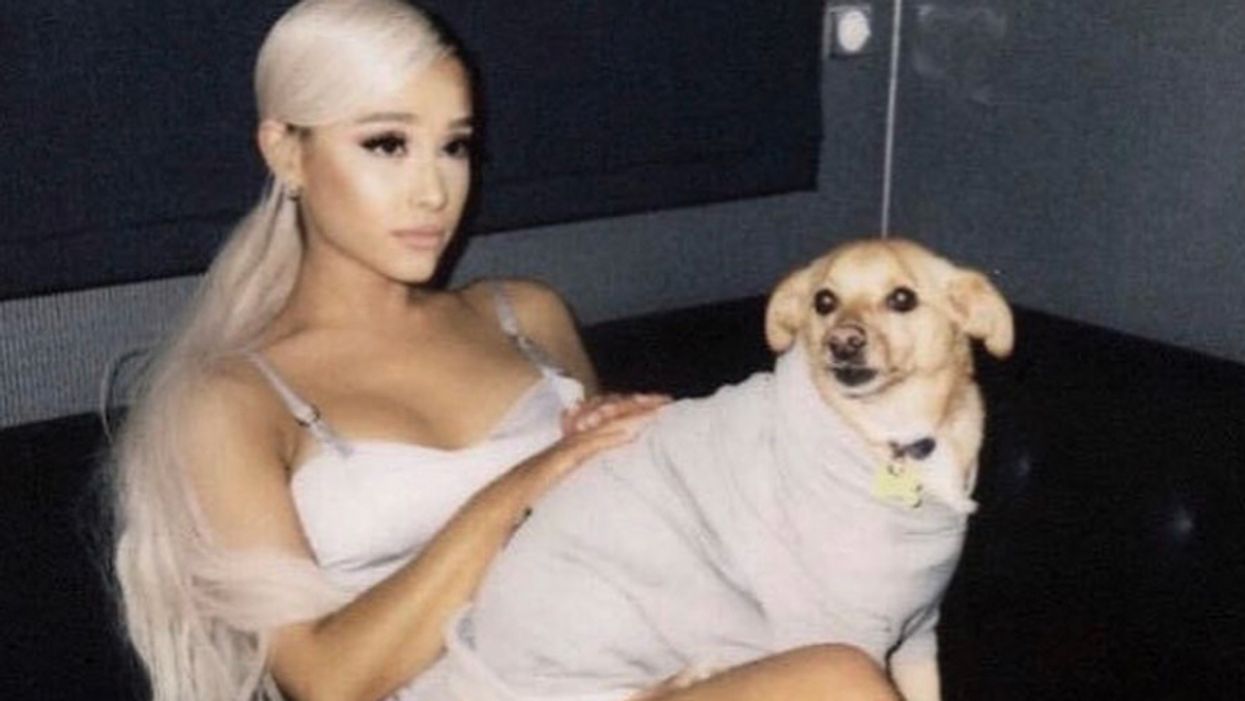 Ariana Grande Opened An Animal Rescue In California & The Pets Are Available For Adoption