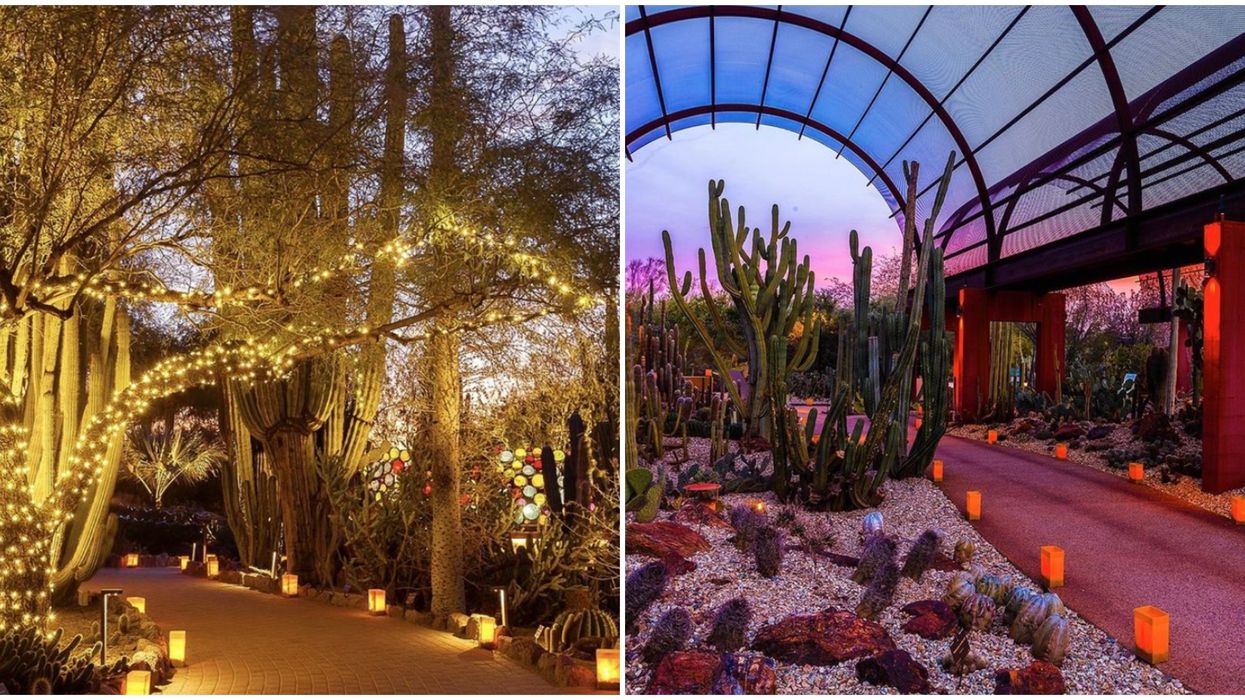 You Can Now Get Lost In A Labyrinth Of Twinkling Lights In The Arizona Desert