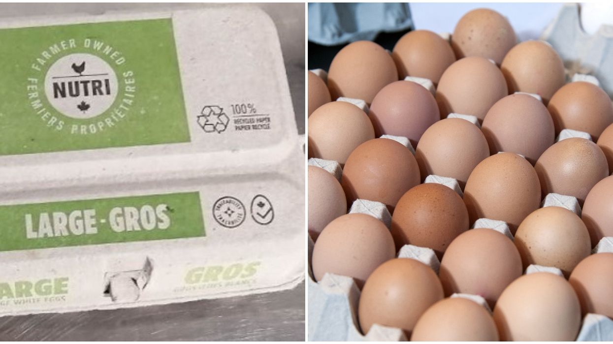 Egg Recall In Canada Has Expanded To Another Province Narcity