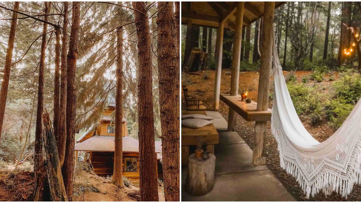 This Charming Airbnb In California Has An Actual Water Tower Growing Out Of Its Head