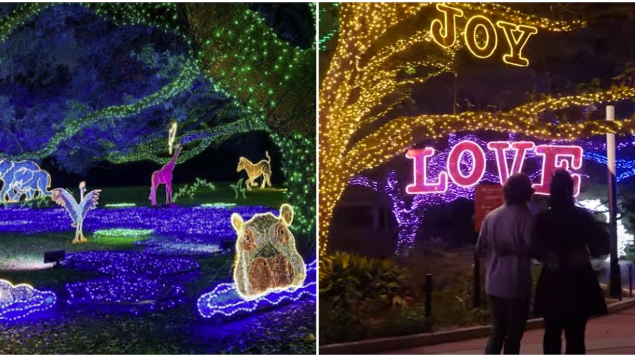 The Houston Zoo's Massive Holiday Event Is Now Open & There's A New Magical 4-D Forest