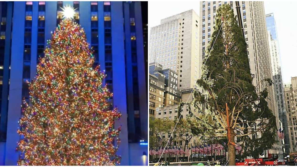 Defying The Odds: The Rockefeller Christmas Tree Just Showed Haters Who's Boss