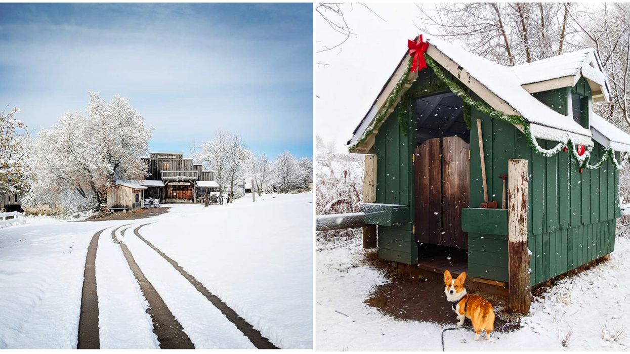 Ontario's 2-Km Holiday Escape Trail Will Lead You Through A Snowy Forest & Festive Village