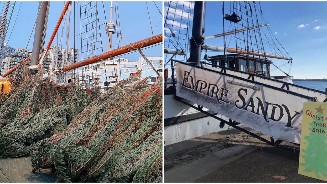 A Toronto Tall Ship Just Transformed Into A Christmas Tree Market & You Can Shop On Board