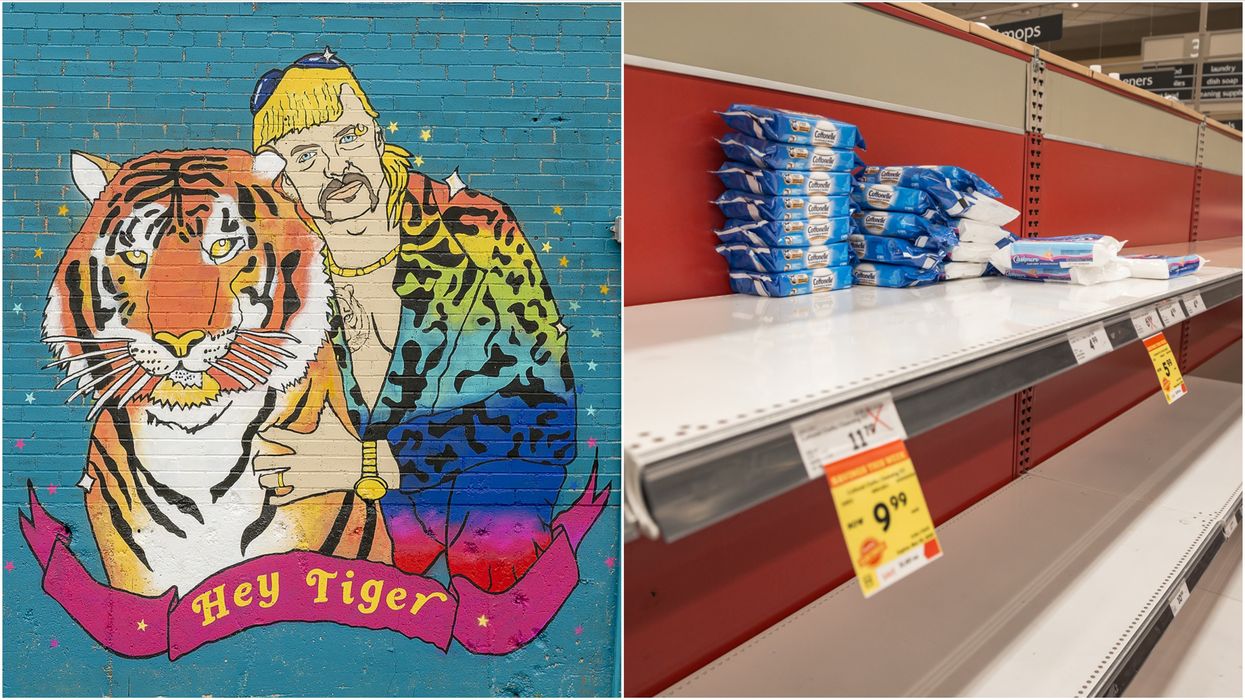 Canadians Have Been Googling Memes All Year & Our Top Searches Are So 2020