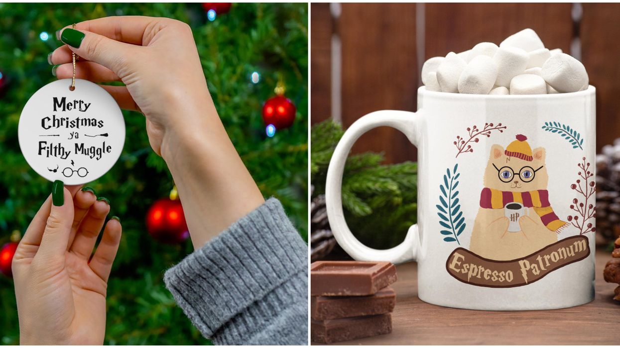 11 Harry Potter Christmas Goodies That Will Transform Your Home Into Hogwarts
