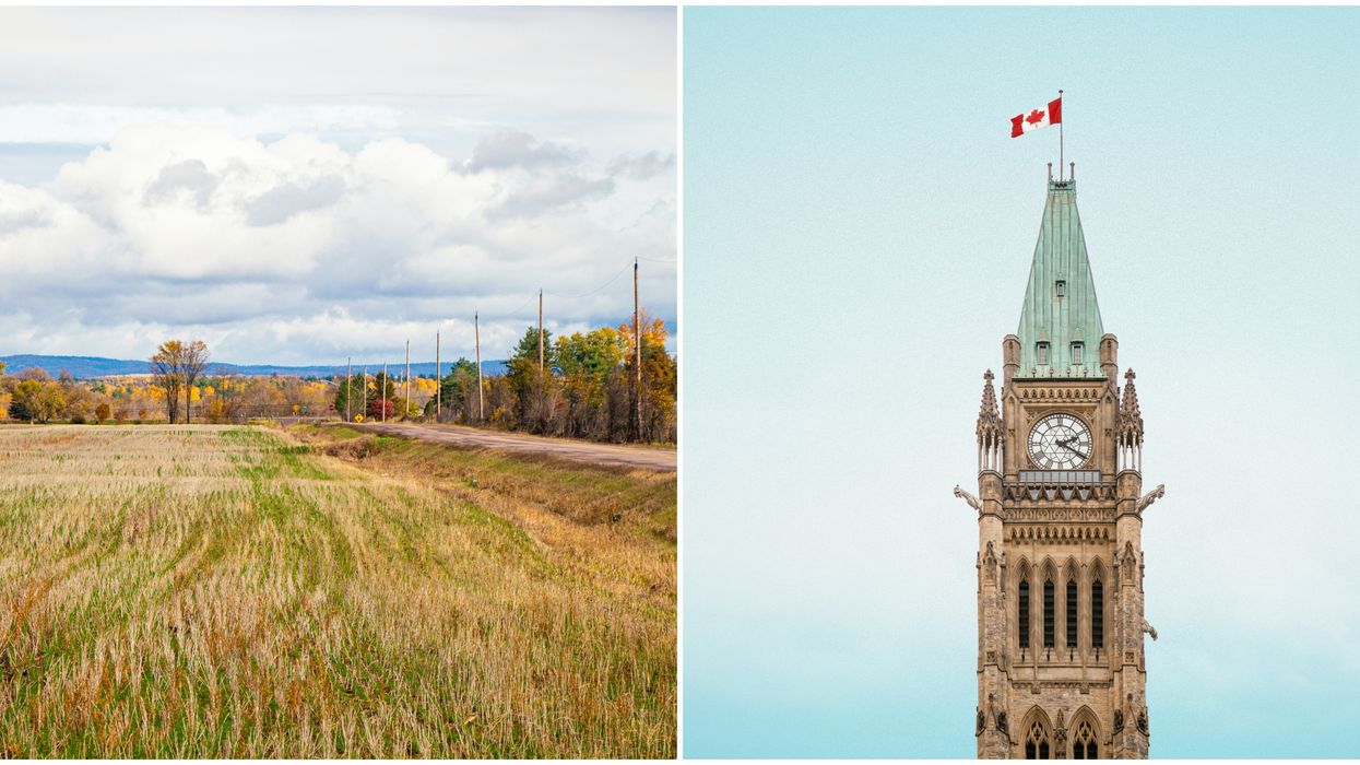 Canadian Grain Commission Jobs Pay Up To $65K & You Only Need A High School Diploma