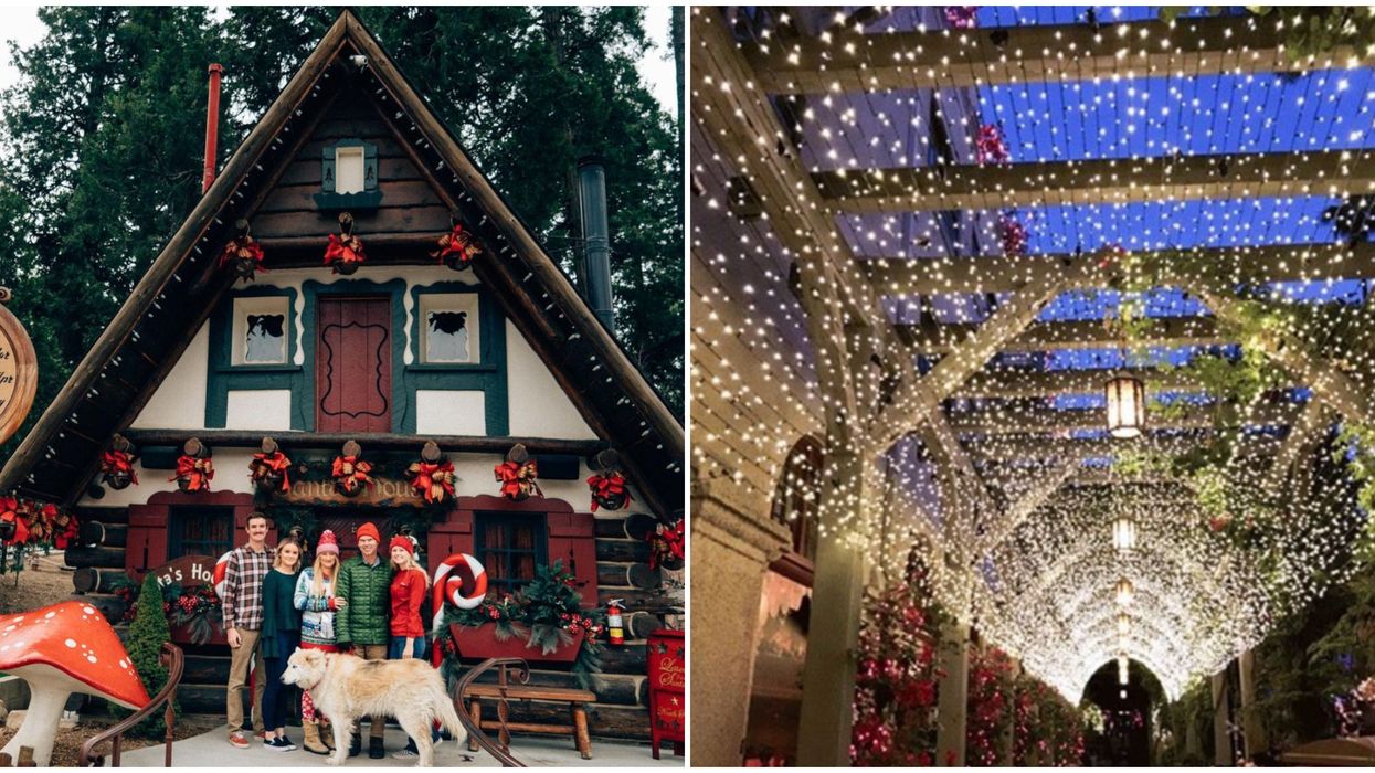 6 Best Southern California Christmas Spots To Brighten Your ...