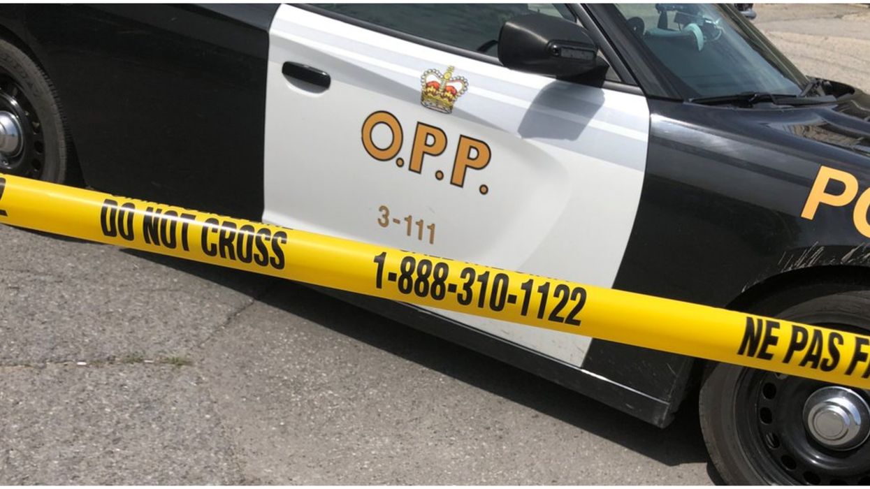 An Ontario Dog Actually Crashed A Car By Itself & Injured Its Owner In The Process