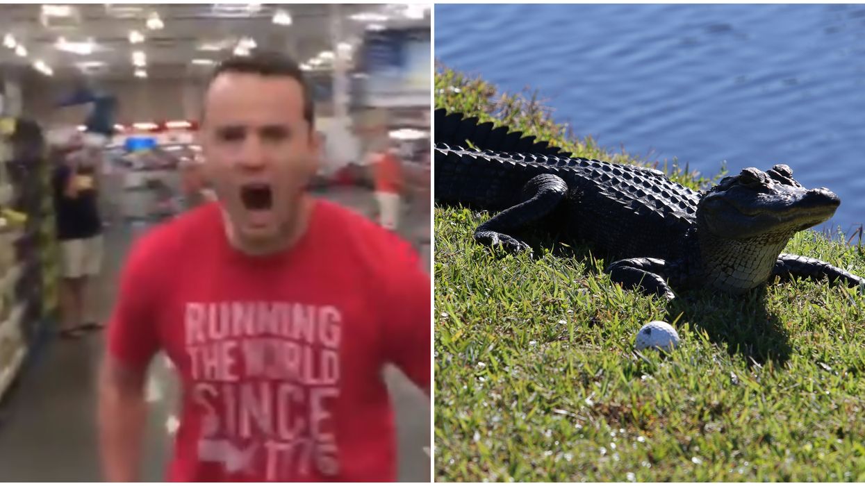 These Are The Most Outrageous 'Florida Man' Headlines Of 2020