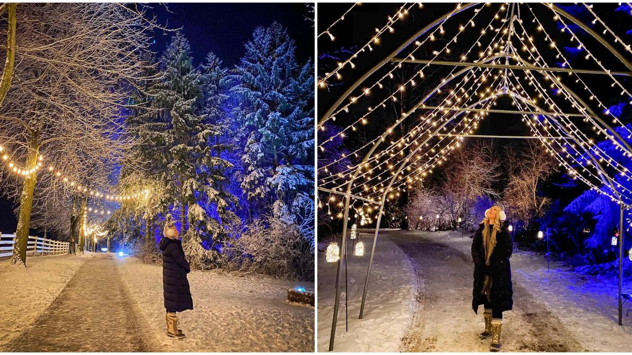 You Can Stroll Through A Dazzling Winter Trail In A Forest Near Toronto This Month