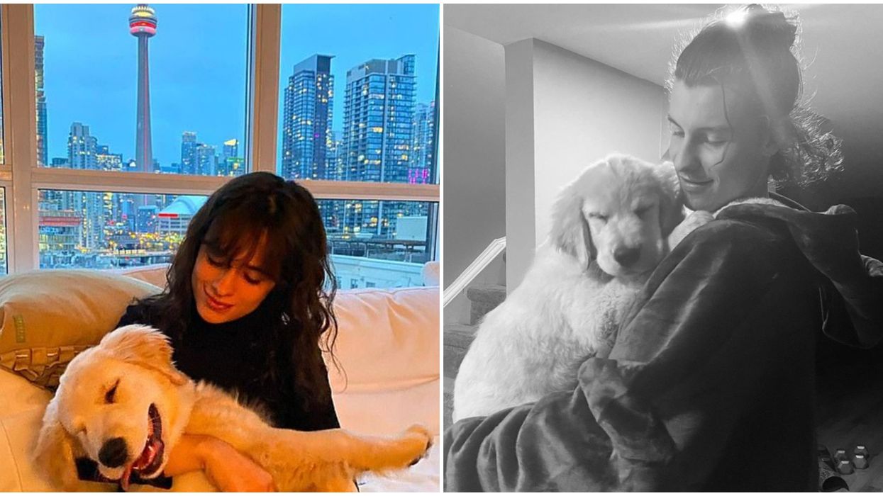Shawn Mendes Took His Puppy Around Downtown Toronto & It Was Precious (PHOTOS)